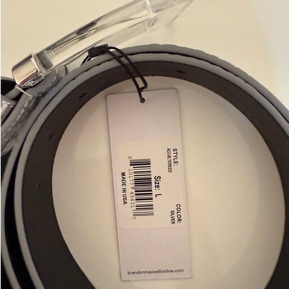 Brandon Maxwell Silver Belt Large Crocodile-Effect Lucite Baddie NWT Giftable - Picture 6 of 7